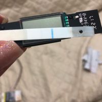 Clear blue precoce digitale - 2