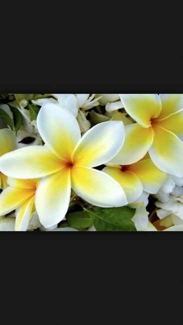 Sondaggio accessori!!!! - 1