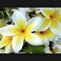 Sondaggio accessori!!!! - 1