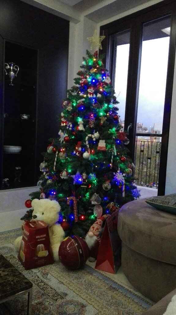 Fatto anche l'albero di Natale! - 1