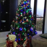 Fatto anche l'albero di Natale! - 1
