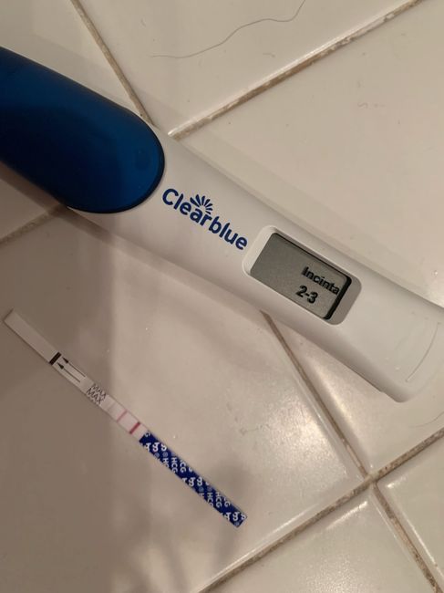 Chi non le aspetta per Dicembre 2021 🤶 🎅 🎄 1