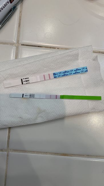 Chi non le aspetta per Maggio 2022 🙏❤️ 2