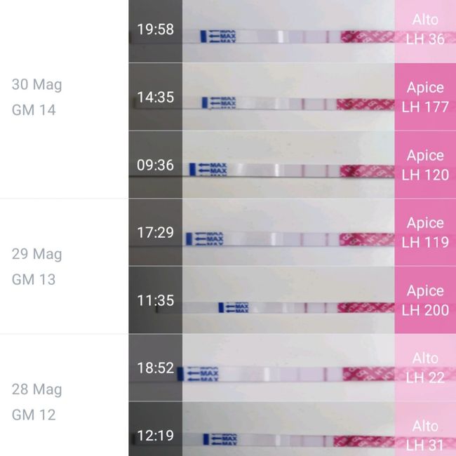 Chi non le aspetta per Maggio 2020 - 1