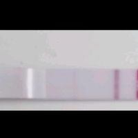 Test ovulazione come test precoce gravidanza.. - 1