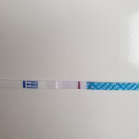 Chi non le aspetta per settembre 2020 🍀🐞🤞🌈🌻🎁🏖️🌞💝 - 1