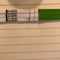 Test d'ovulazione - 1