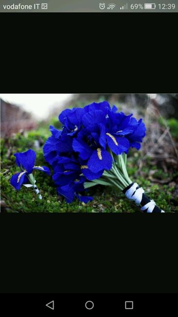 Bouquet di iris - 6