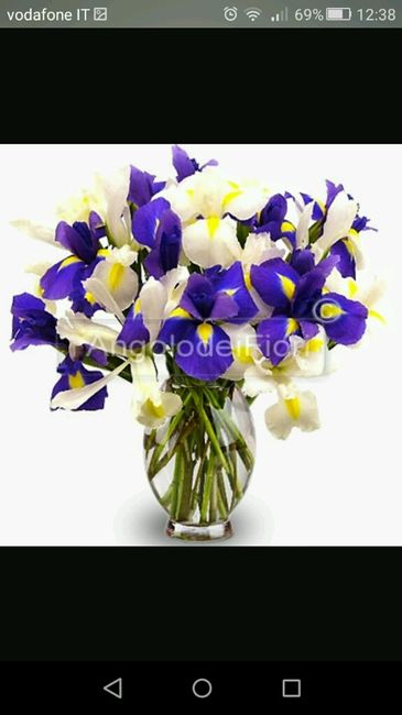 Bouquet di iris - 7