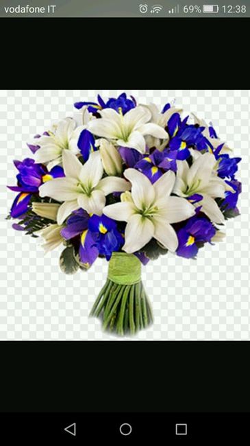 Bouquet di iris - 8
