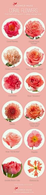 Color corallo... e i fiori..??  ???? - 1