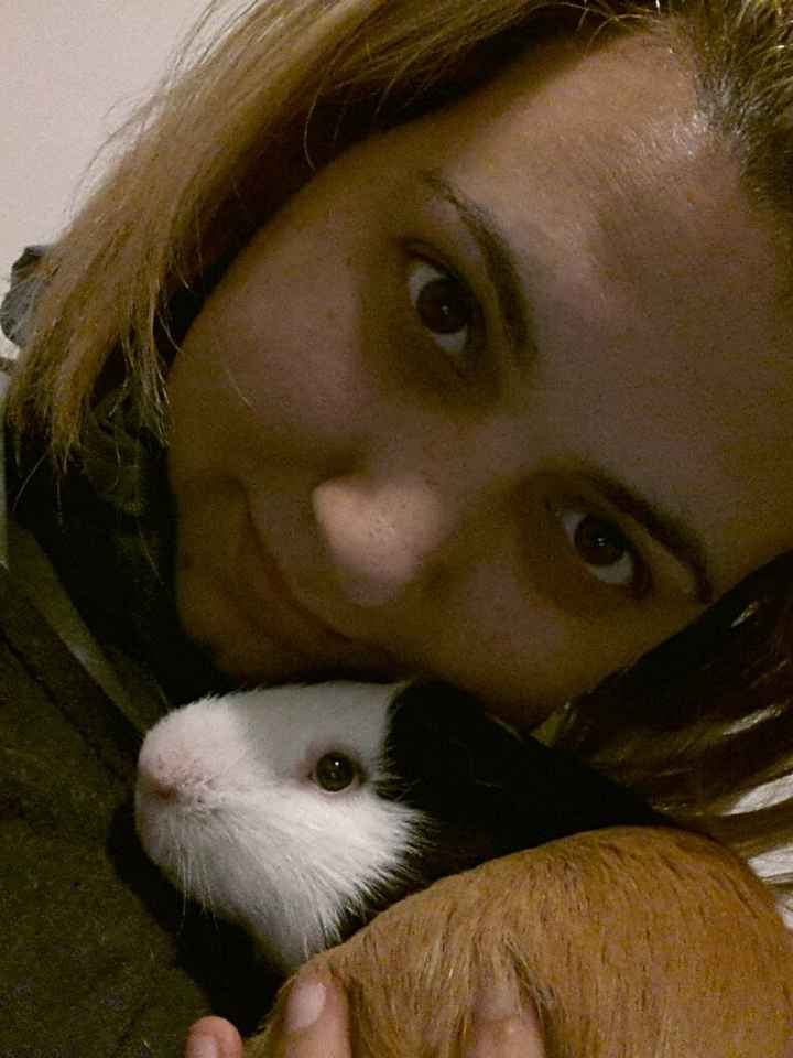 Animali domestici - 3