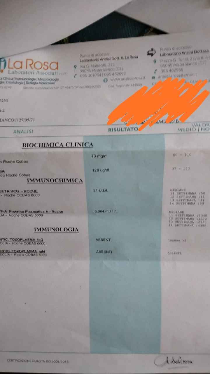 Future mamme Dicembre 2021 🎄🎁💙🎀 - 1