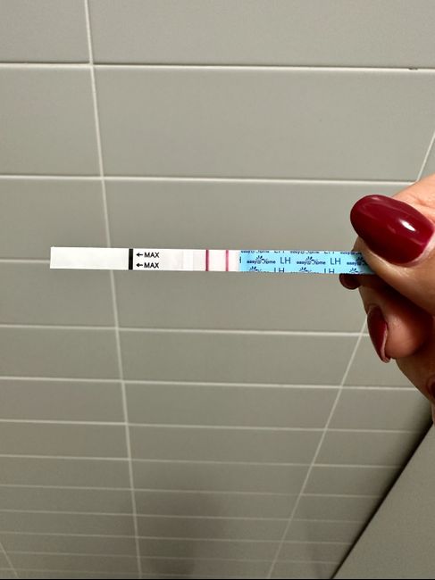 Chi non le aspetta per maggio 2024 🌹💛 - 2