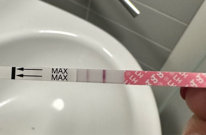 Chi non le aspetta per Dicembre 2024 🎄🍀♥️ - 1