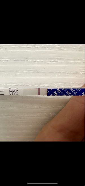 Chi non le aspetta per Dicembre 2024 🎄🍀♥️ - 1