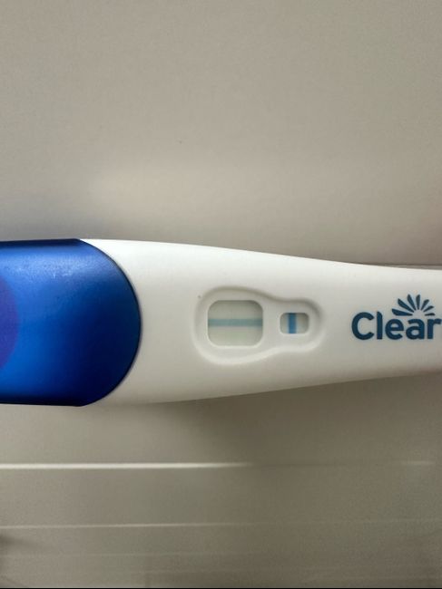 Chi non le aspetta per Dicembre 2024 🎄🍀♥️ - 1