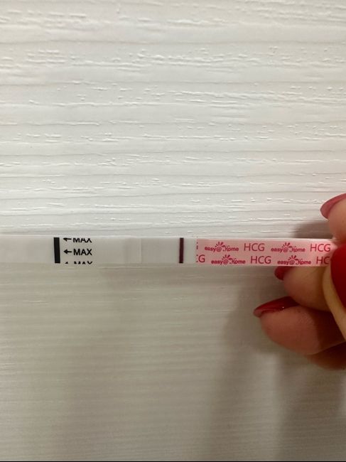 Chi non le aspetta per Dicembre 2024 🎄🍀♥️ - 2