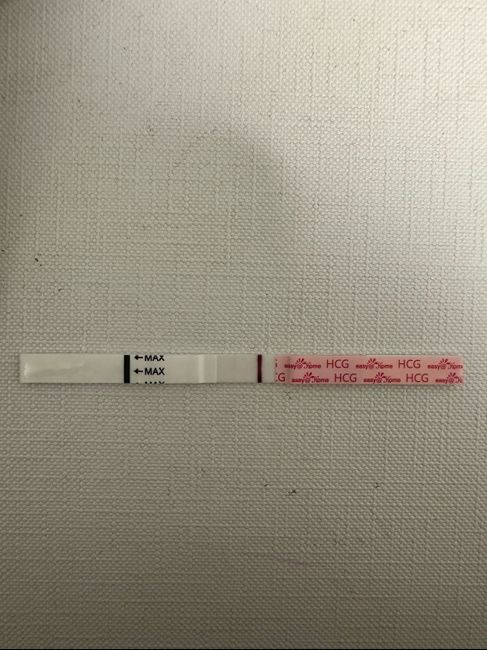 Chi non le aspetta per Dicembre 2024 🎄🍀♥️ - 1