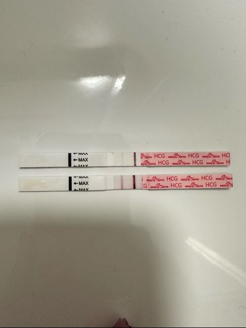 Chi non le aspetta per Dicembre 2024 🎄🍀♥️ - 1