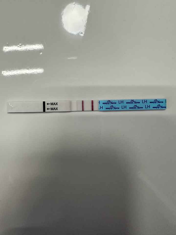 Per chi non le aspetta Maggio,Giugno,Luglio 2024🍀🐞 - 1