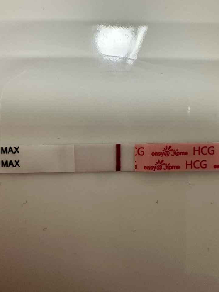 Per chi non le aspetta Luglio, Agosto Settembre e Ottobre 2024🍀🐞 - 1