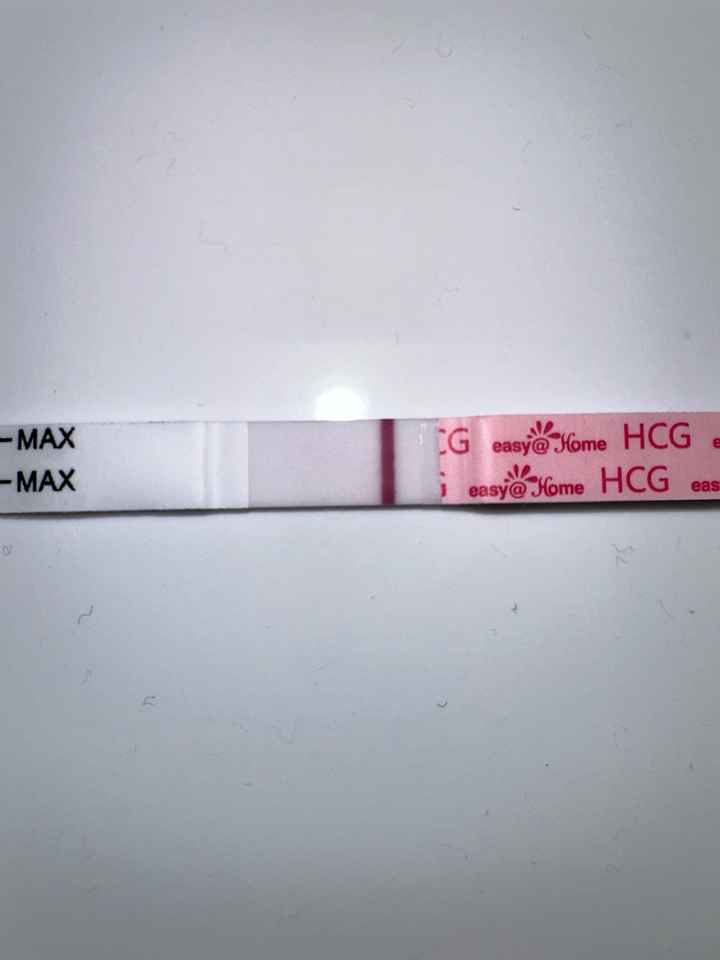 Per chi non le aspetta Luglio, Agosto Settembre e Ottobre 2024🍀🐞 - 2