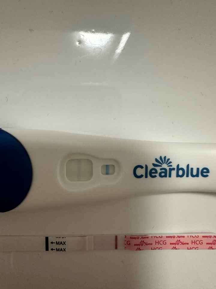 Per chi non le aspetta Luglio, Agosto Settembre e Ottobre 2024🍀🐞 - 1