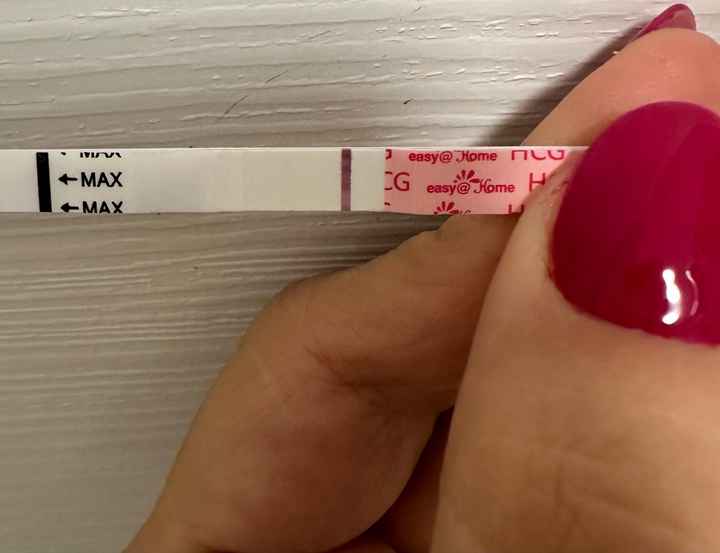 Per chi non le aspetta ottobre, novembre e dicembre 2024🍀🐞 - 1