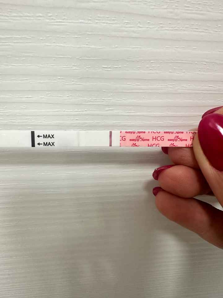 Per chi non le aspetta ottobre, novembre e dicembre 2024🍀🐞 - 1