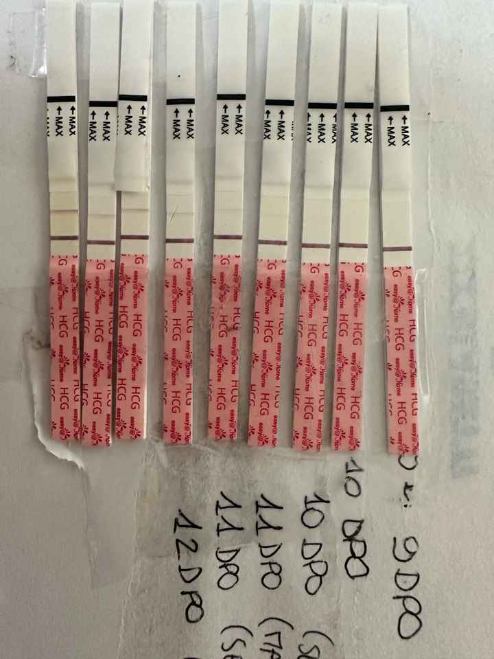 Per chi non le aspetta ottobre, novembre e dicembre 2024🍀🐞 - 1