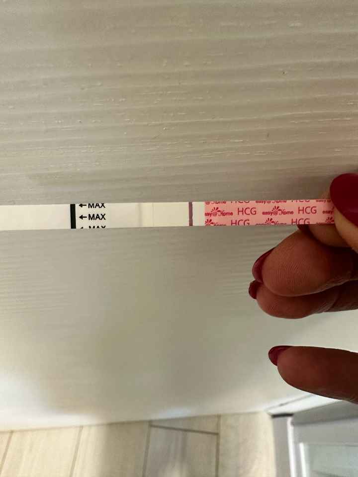 Per chi non le aspetta ottobre, novembre e dicembre 2024🍀🐞 - 1