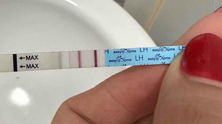 Per chi non le aspetta ottobre e novembre 🍀🐞 - 1