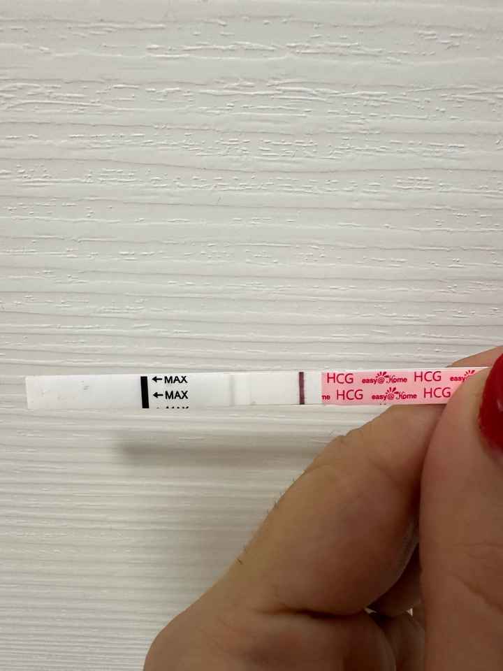 Per chi non le aspetta ottobre e novembre 🍀🐞 - 1