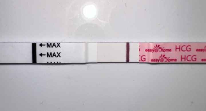 Per chi non le aspetta ottobre e novembre 🍀🐞 - 1