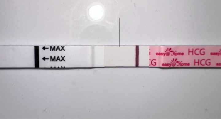 Per chi non le aspetta ottobre e novembre 🍀🐞 - 1