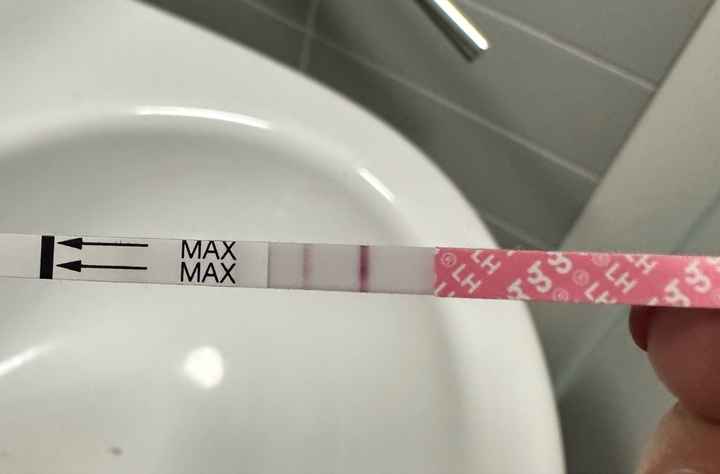 Chi non le aspetta per Dicembre 2024 🎄🍀♥️ - 1