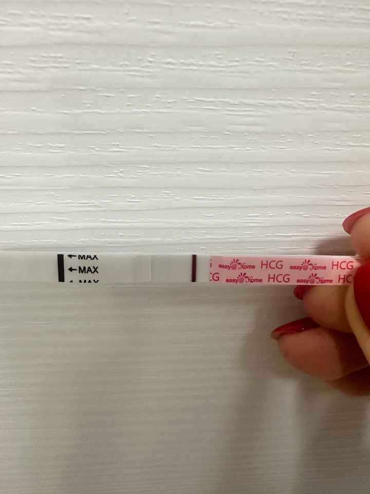 Chi non le aspetta per Dicembre 2024 🎄🍀♥️ - 2