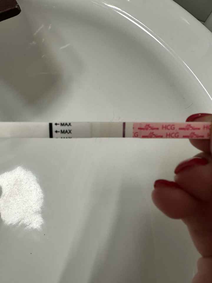 Chi non le aspetta per Dicembre 2024 🎄🍀♥️ - 1