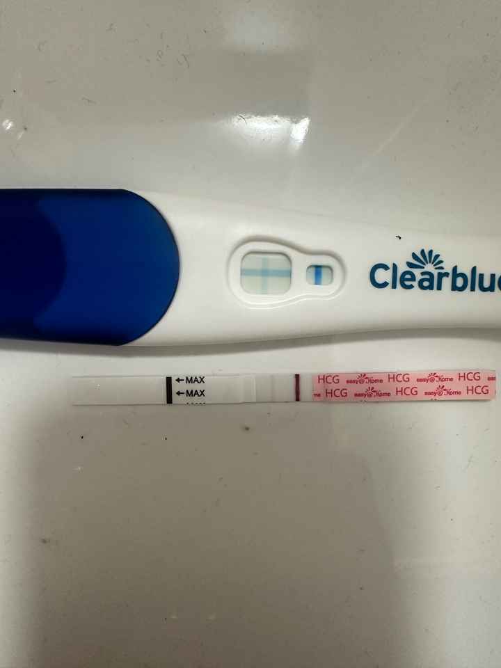 Chi non le aspetta per Dicembre 2024 🎄🍀♥️ - 1