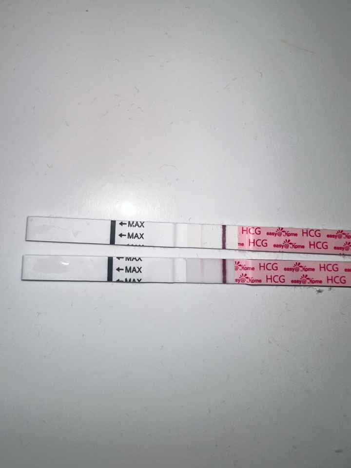 Chi non le aspetta per Dicembre 2024 🎄🍀♥️ - 1