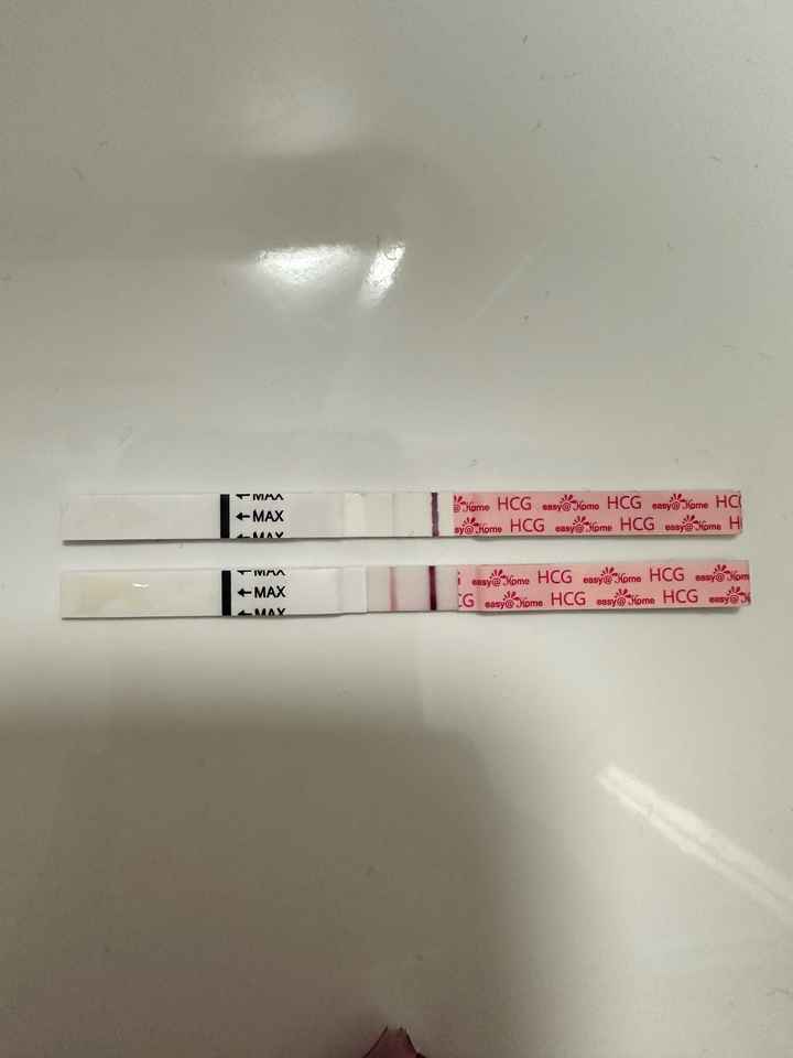 Chi non le aspetta per Dicembre 2024 🎄🍀♥️ - 1