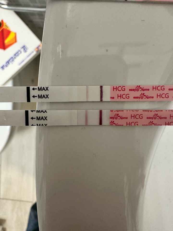 Chi non le aspetta per Dicembre 2024 🎄🍀♥️ - 1