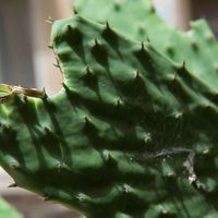 Il nostro giorno (scusate il ritardo ) - 7