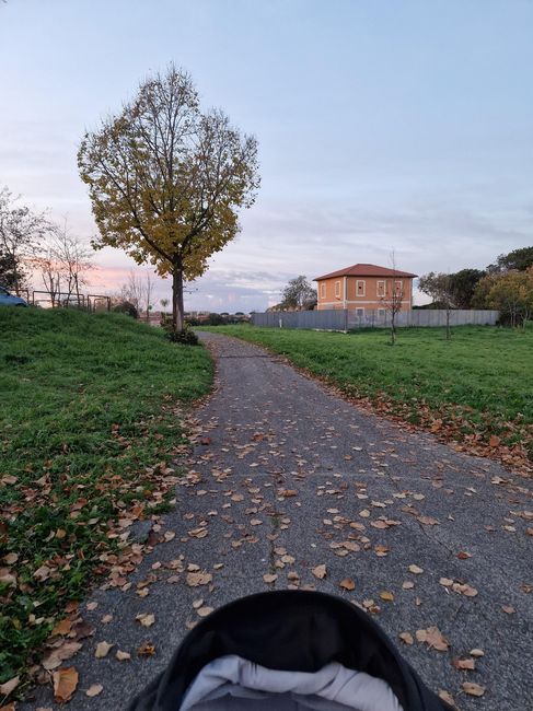 Future mamme ottobre 2024 - nuovo gruppo - 1