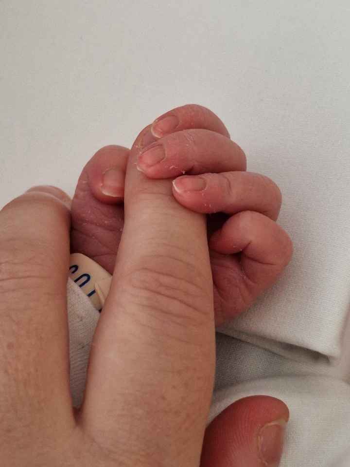 Future mamme ottobre 2024 - nuovo gruppo - 1