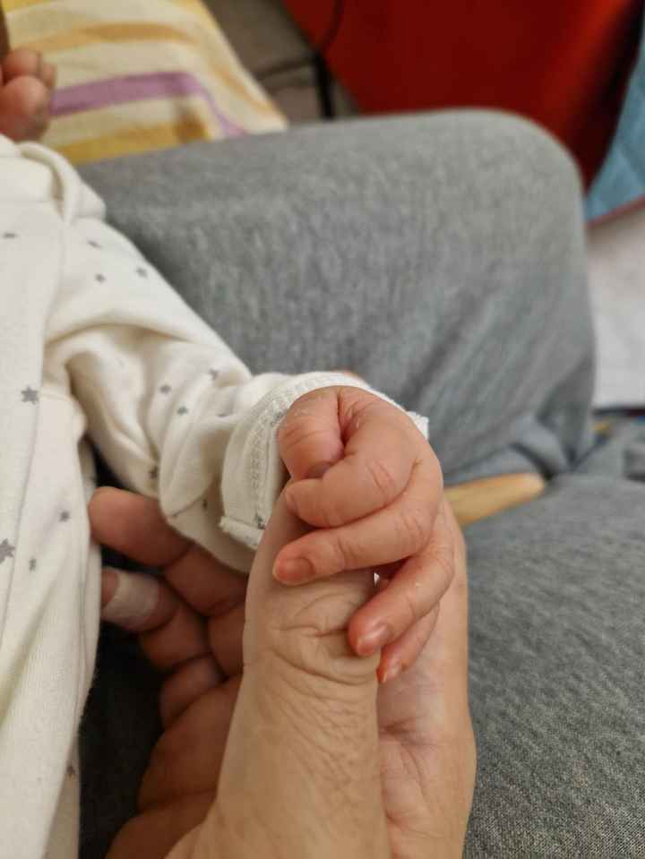 Future mamme ottobre 2024 - nuovo gruppo - 1