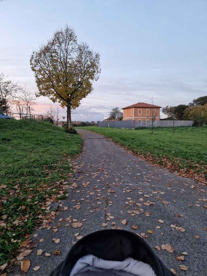 Future mamme ottobre 2024 - nuovo gruppo - 1