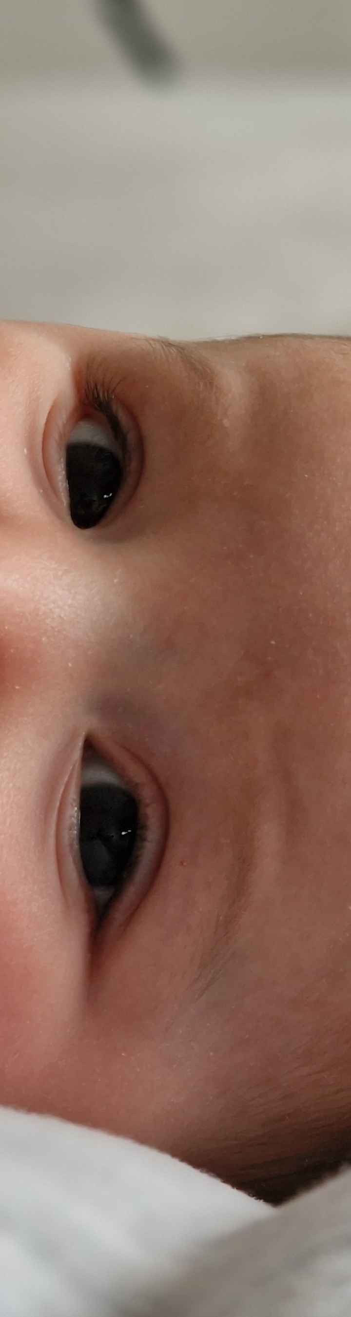 Future mamme ottobre 2024 - nuovo gruppo - 1