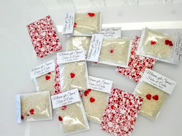 Alternativa coni portariso 1